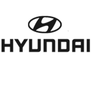 Parceiro da tecnologia Ailon